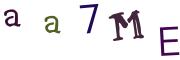 Image CAPTCHA